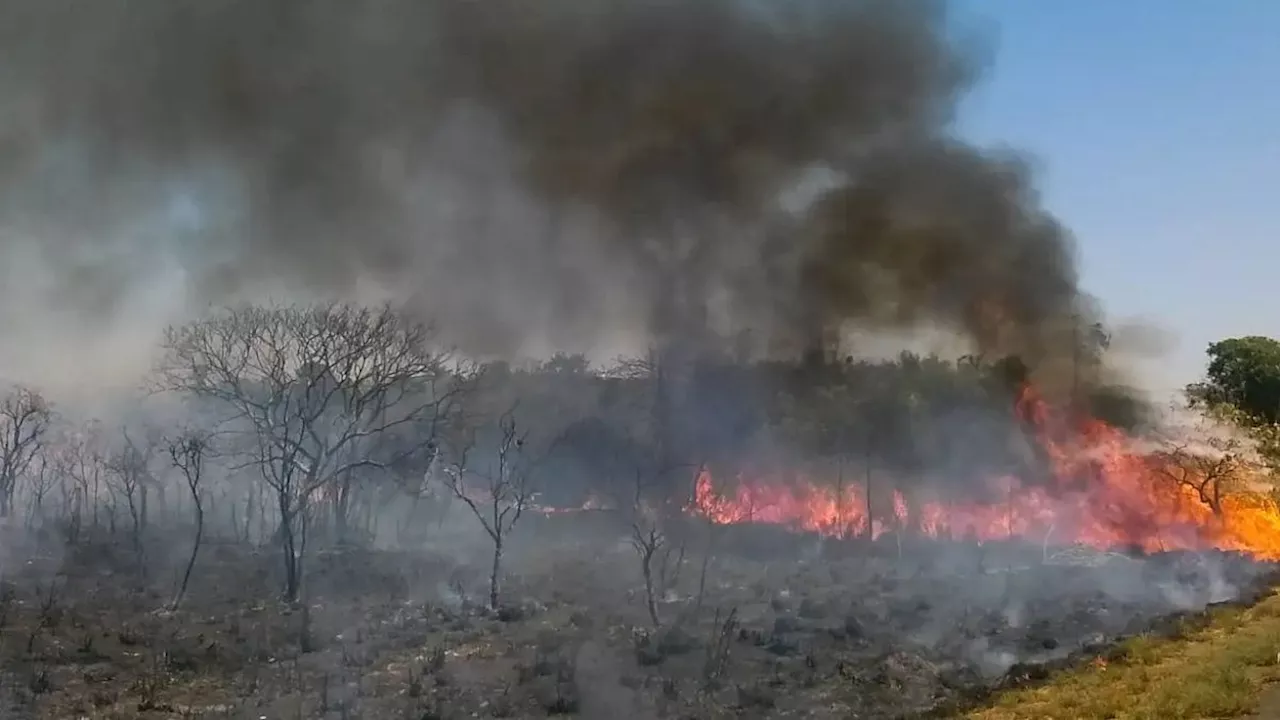 Fumaça das queimadas se espalha pelo Brasil e oferece riscos à saúde; entenda