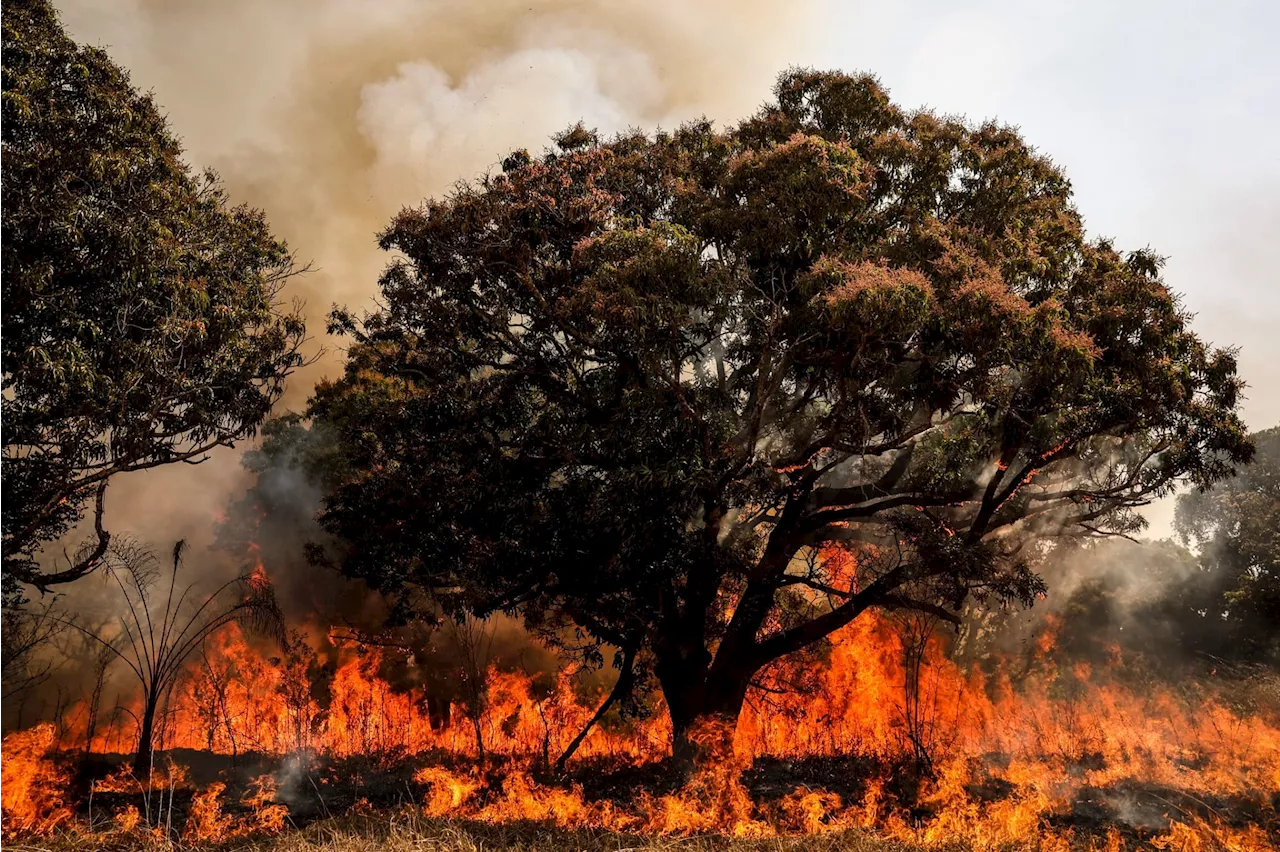 Mais de 240 cidades brasileiras enfrentam clima mais seco que o do deserto do Saara