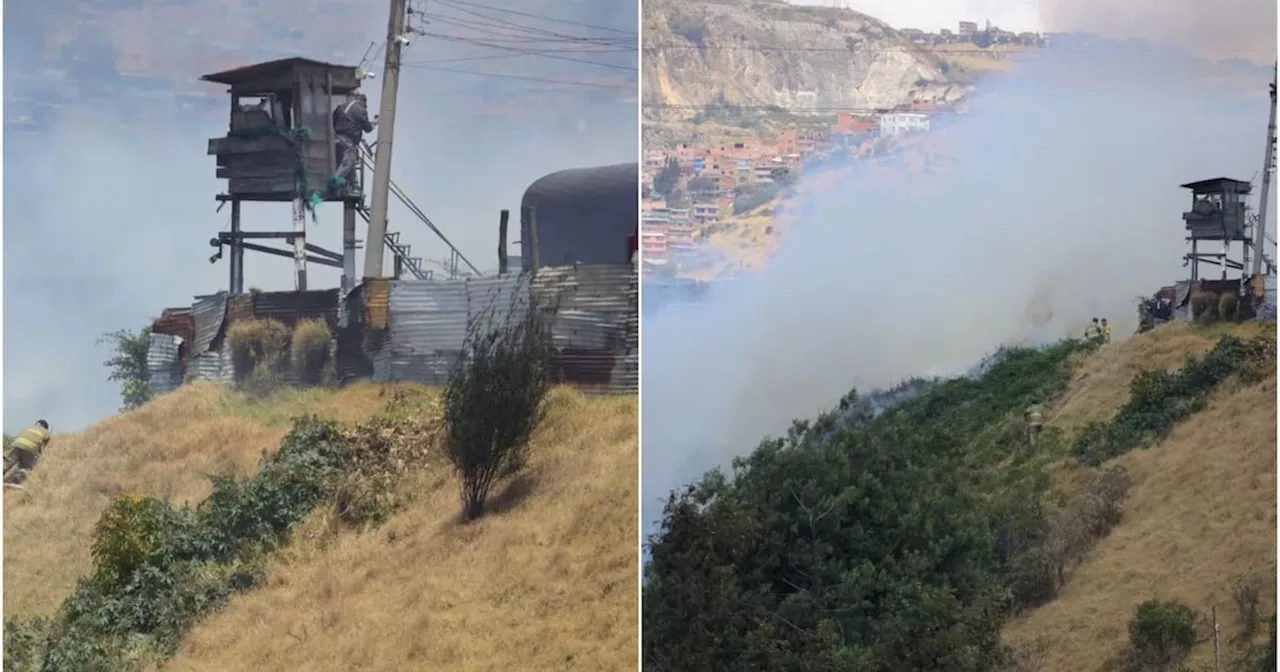 Incendio forestal en Bogotá: Bomberos atienden la emergencia ambiental al sur de la capital