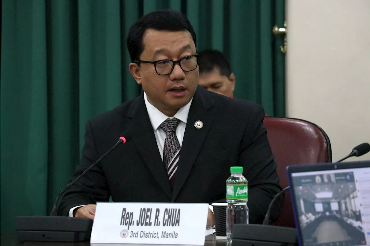 House promotes Joel Chua, VP Sara critic, to lead panel probing misuse of funds