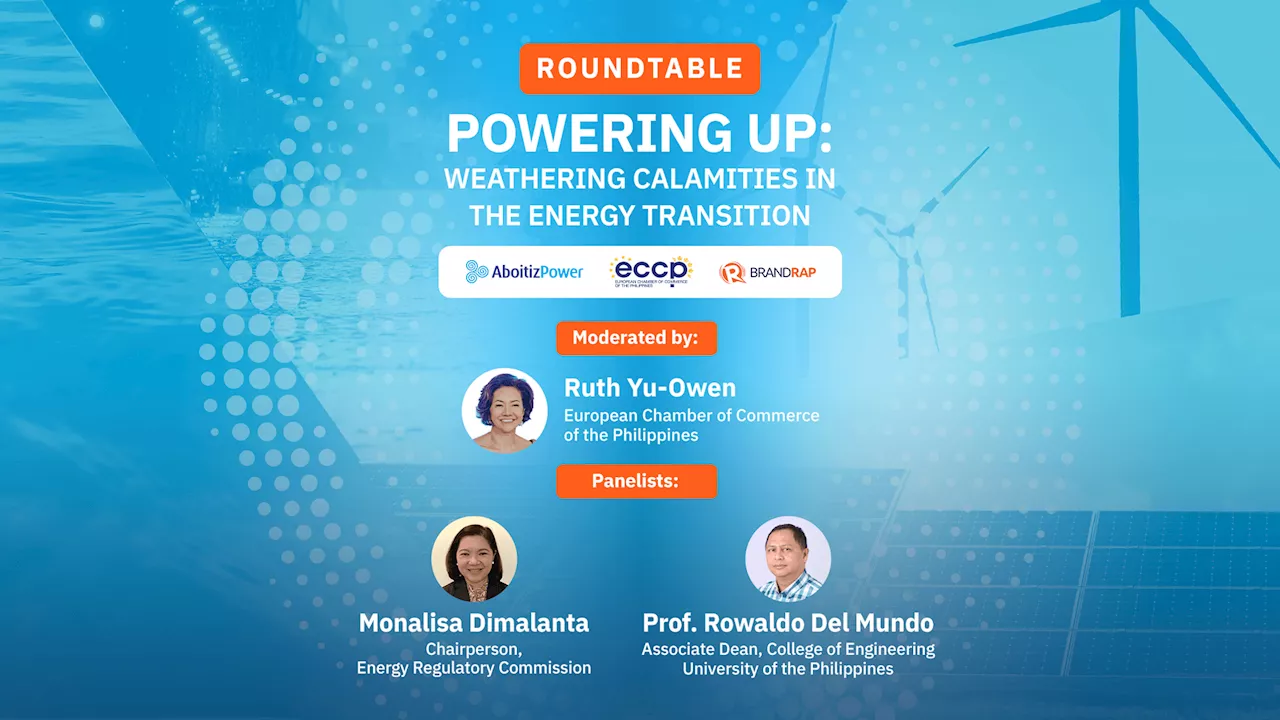 [ROUNDTABLE] Powering up: weathering calamities in the energy transition