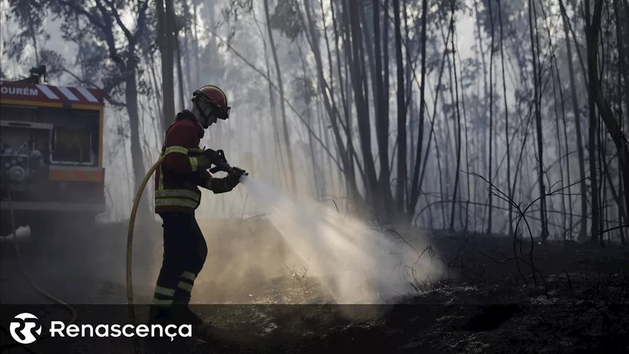 Número elevado de fogos em Arcos de Valdevez é 'falha grave' a debater