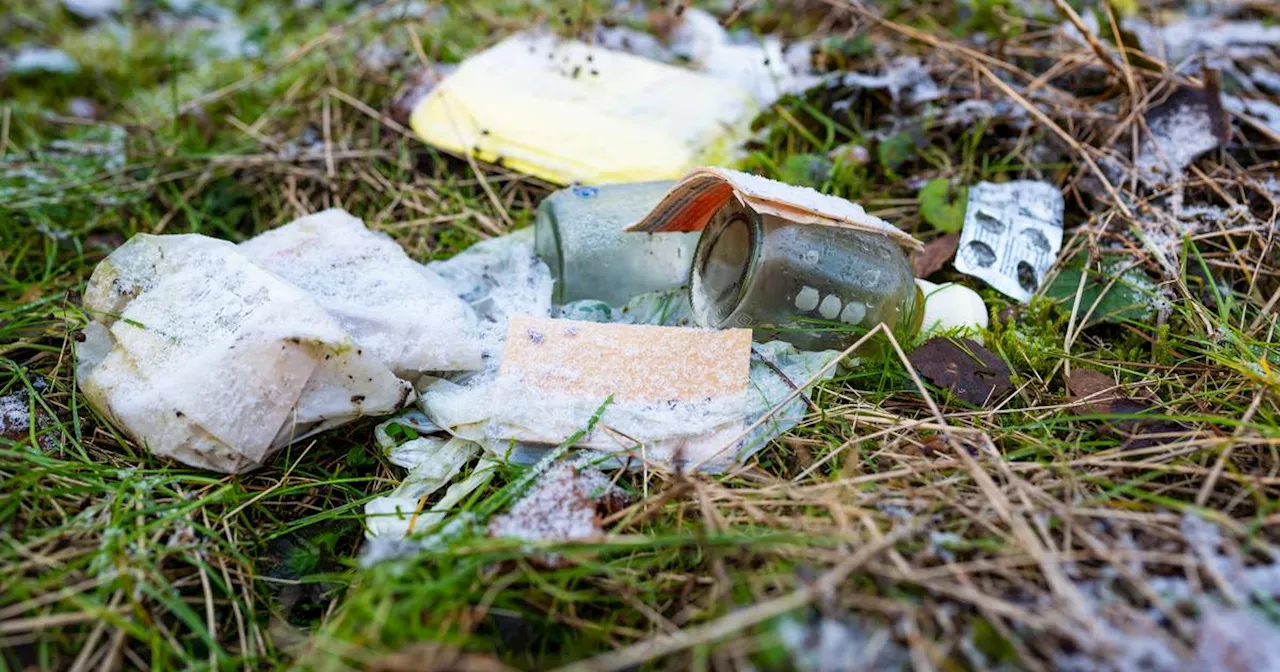 Studie: 52 Millionen Tonnen Plastik pro Jahr landen in der Natur