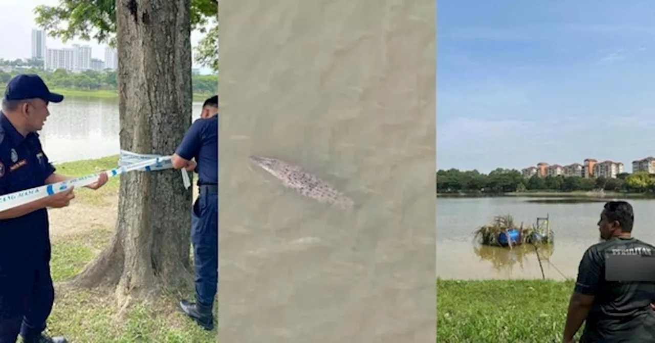 Kes Buaya Muncul Di Tasik Shah Alam, MBSA & PERHILITAN Kerjasama Pasang 2 Perangkap