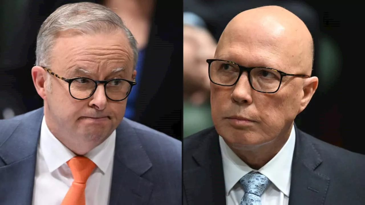 NSW Liberals chaos: Anthony Albanese mocks party's 'farce' as Peter Dutton points a finger