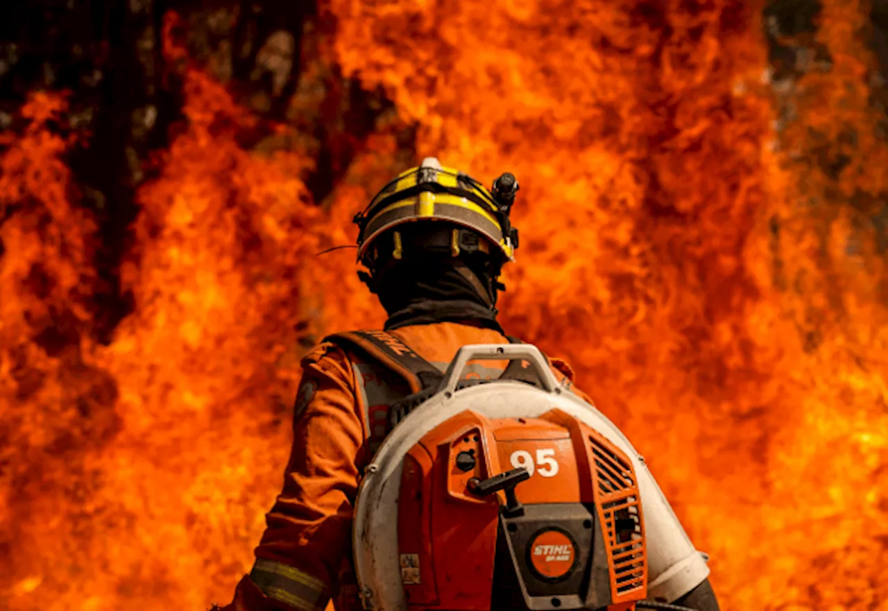 Distrito Federal registra dia mais seco do ano e incêndios florestais