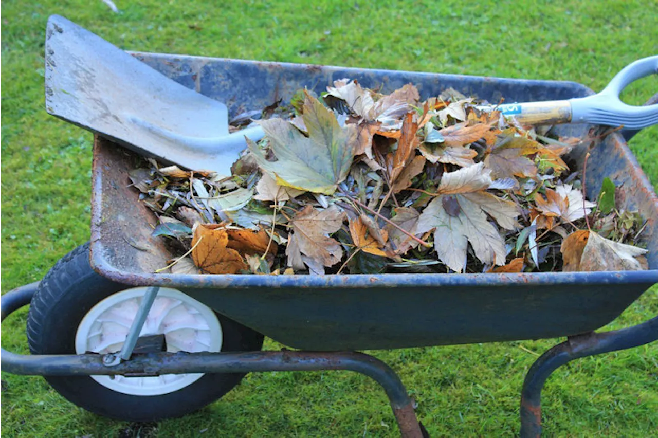 Shropshire Council’s garden waste subscription service goes live