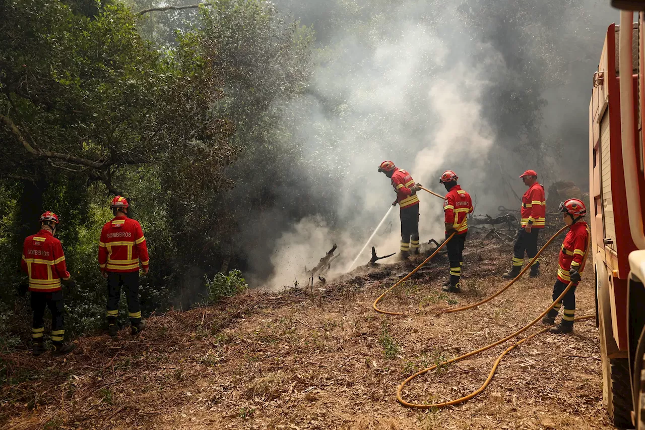 Mais de 100 operacionais combatem incêndio em Arcos de Valdevez