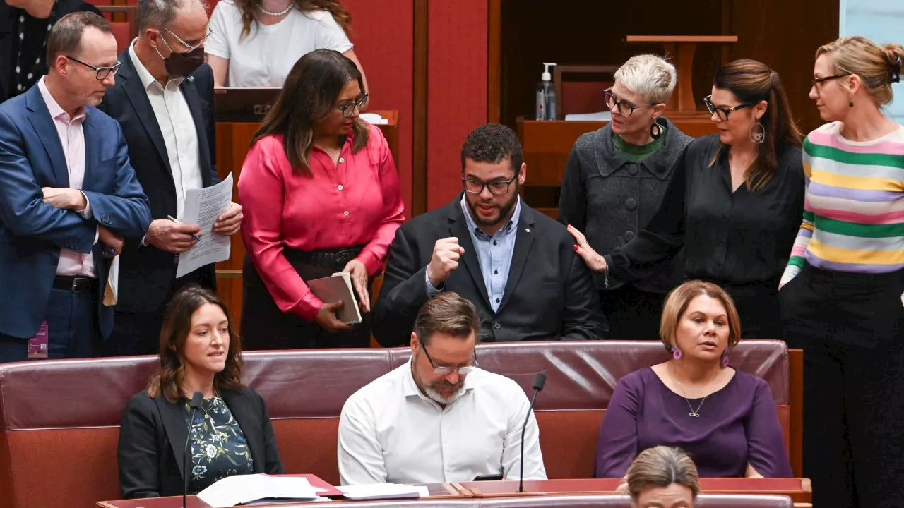 Labor MPs bite on Greens’ dental demands