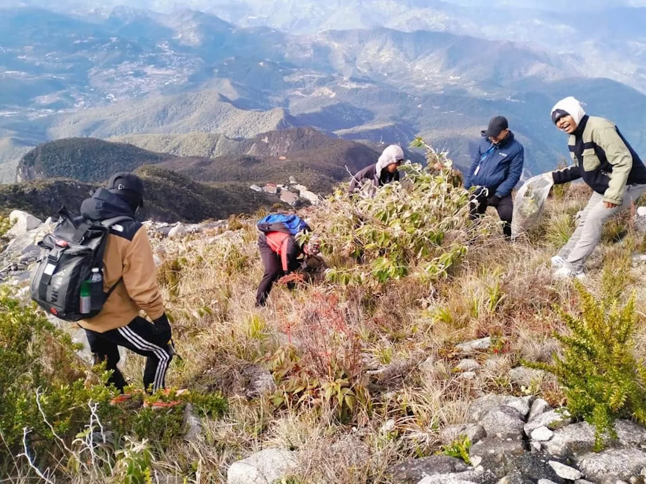 Repel the invaders: CSR campaign weeds out threats to Mt Kinabalu flora