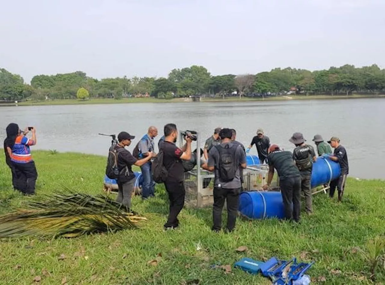 Shah Alam lake to close at night until croc's capture