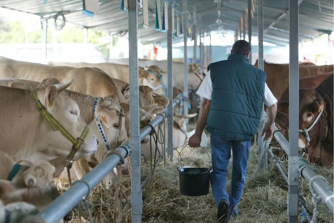 Agriculture : une journée pour trouver un parrain pour faciliter son installation