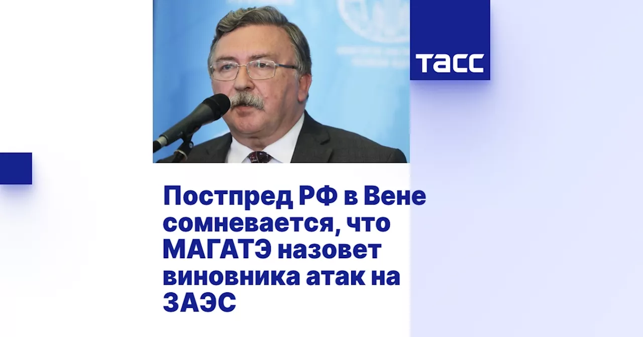 Постпред РФ в Вене сомневается, что МАГАТЭ назовет виновника атак на ЗАЭС