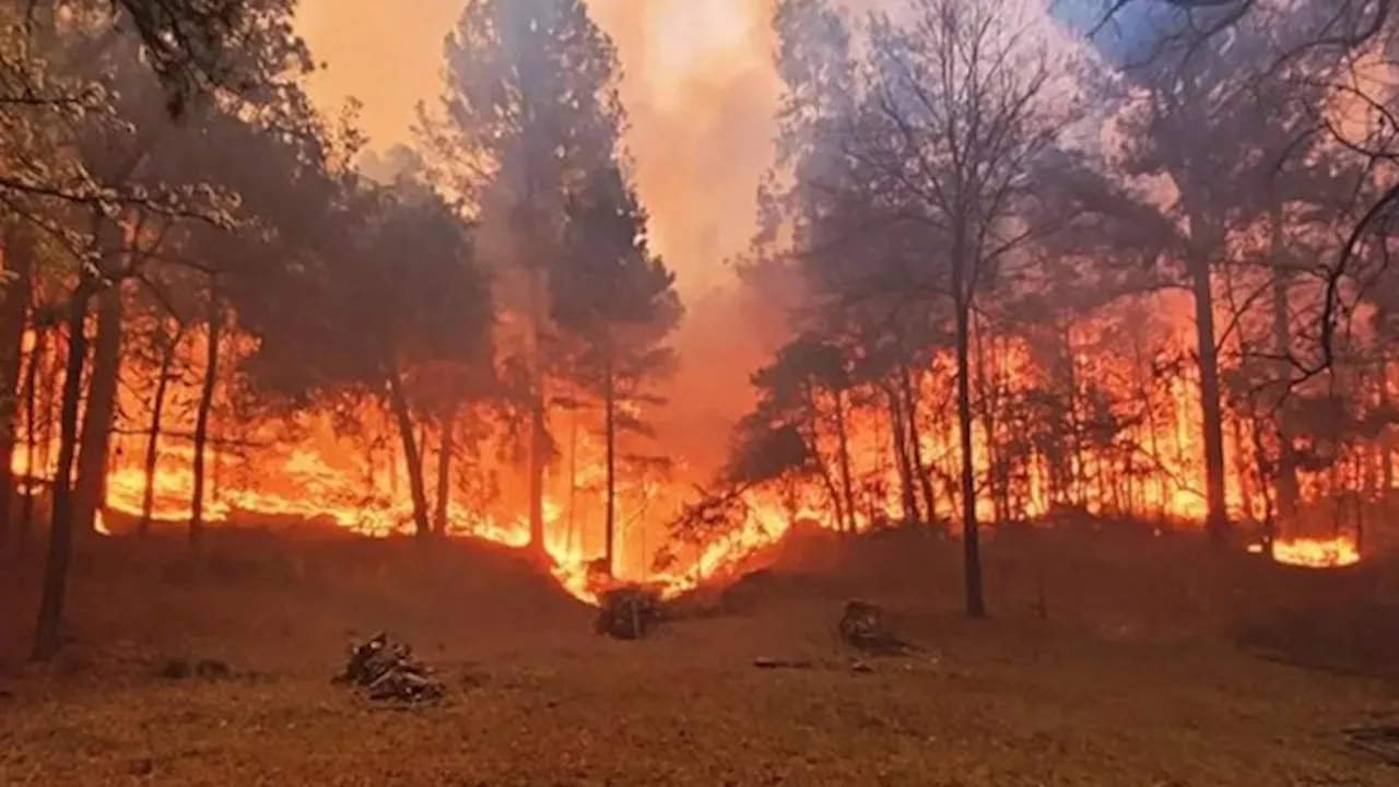 Detuvieron a un vecino de Calamuchita por los incendios forestales