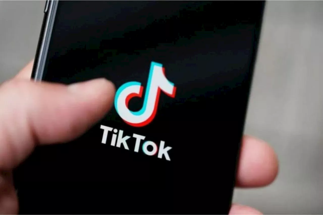 Northern Cape Education Department calls for action over ‘racist TikTok’