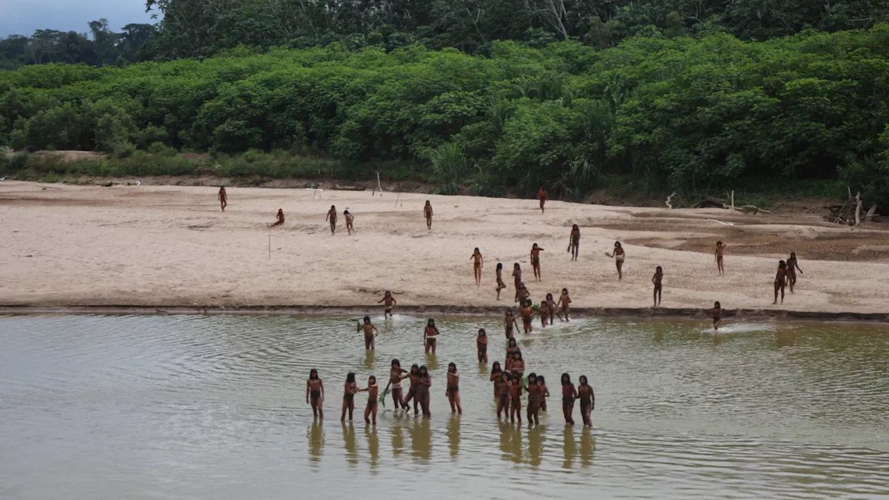 World’s biggest ‘uncontacted’ tribe deep inside Amazon rainforest kill two loggers in bow & arrow attac...