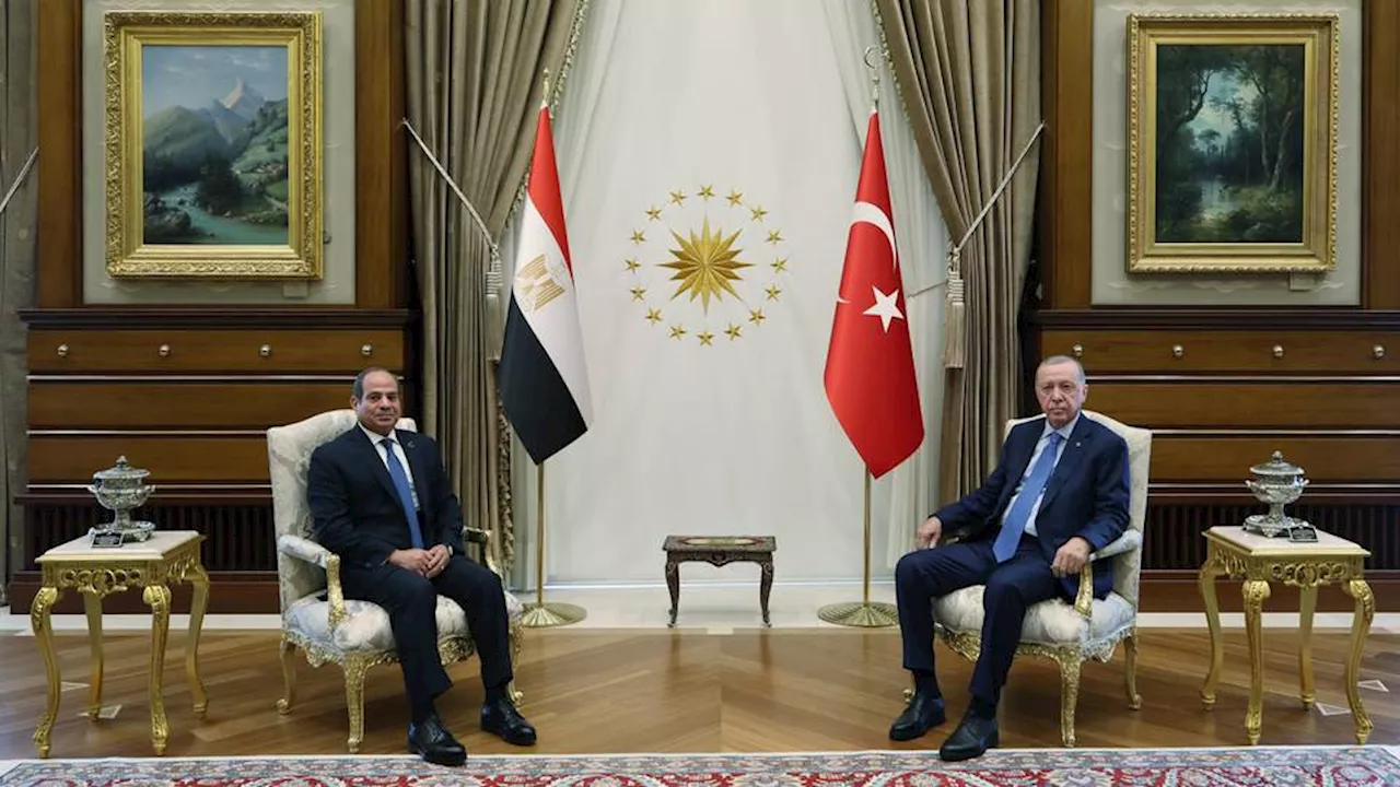 Türkiye, Egypt partnership vital for regional peace and stability