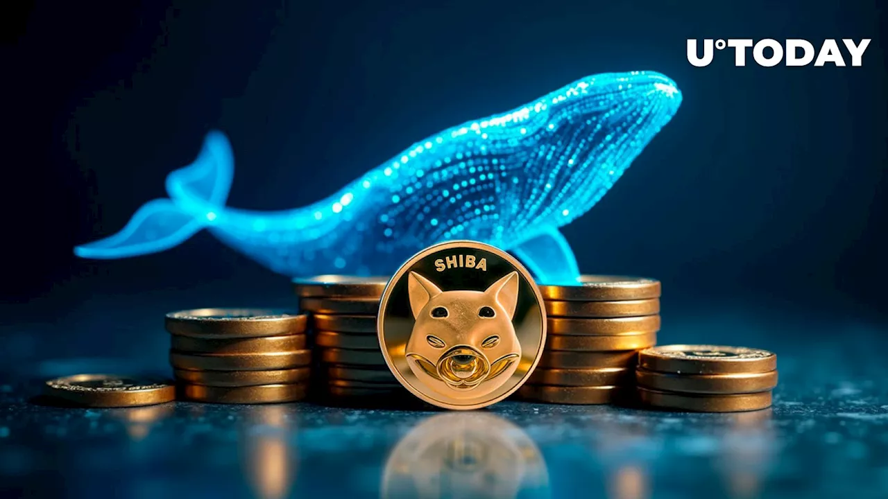 Shiba Inu (SHIB) Skyrockets 171% in Whale Move as $200 Million Market Sell-off Hits