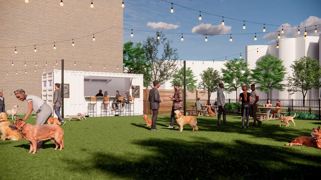 A Dog-Friendly Garden and Restaurant Is Coming to Logan Circle