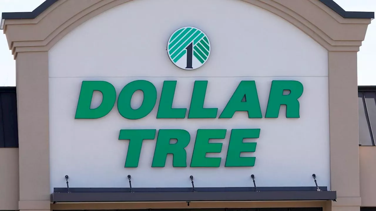 Dollar Tree stock takes hit after guidance cut, earnings miss