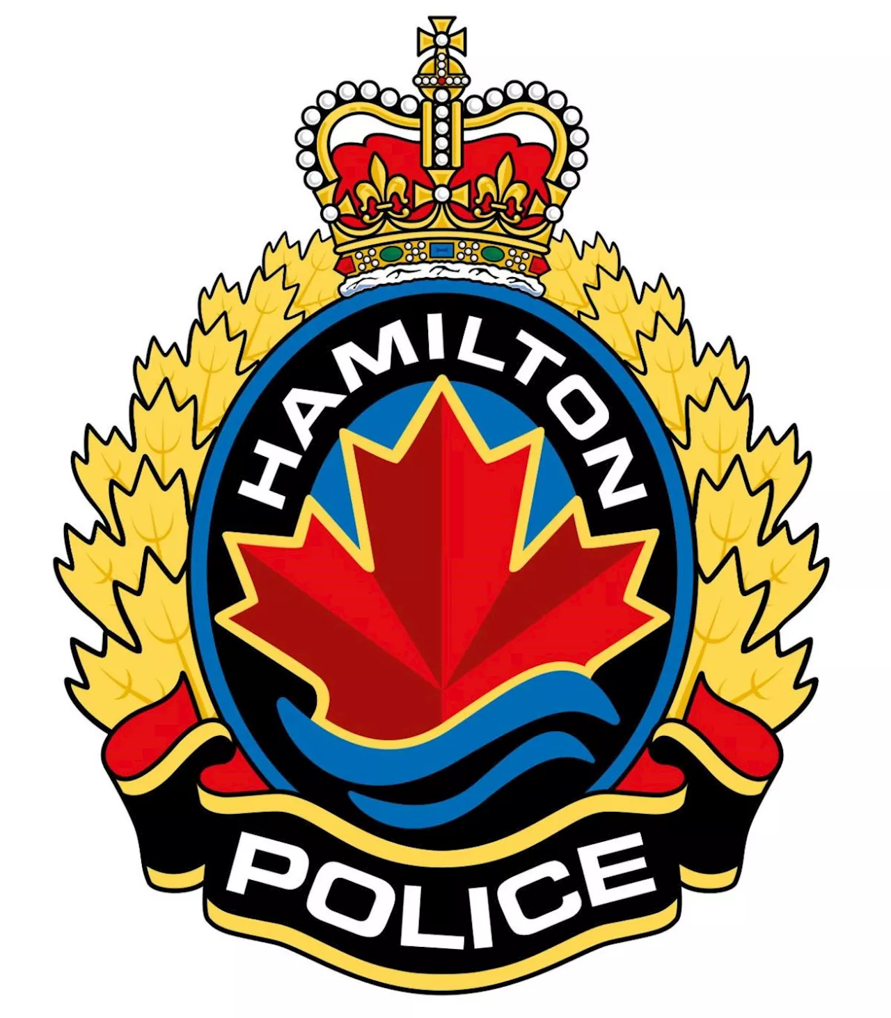 Salesman charged in luxury vehicle and identity theft fraud: Hamilton police