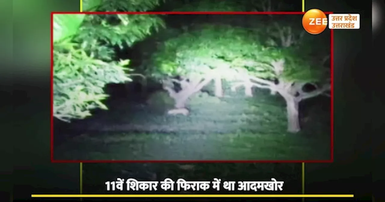 Bahraich Wolf Video: टॉर्च की रोशनी में फिर दिखा आदमखोर भेड़िया, वीडियो हुआ वायरल