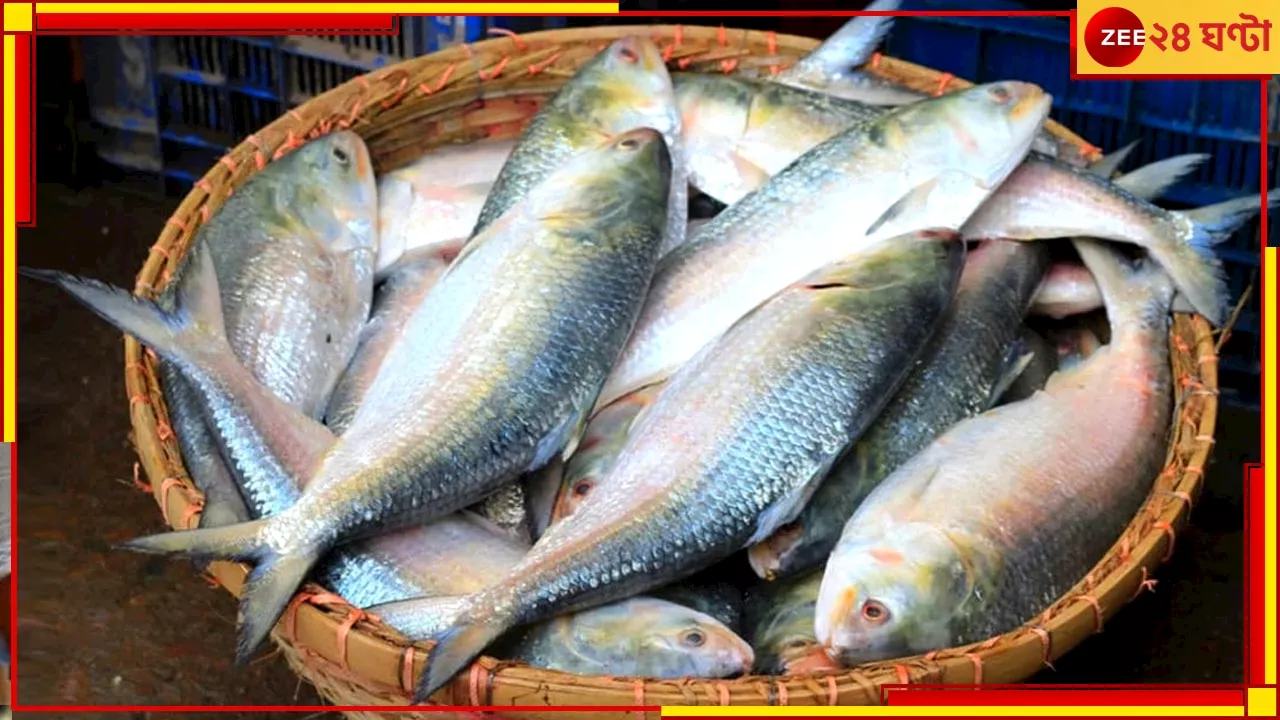 Bangladeshi Hilsa: পুজোয় কি বাঙালির পাতে পড়বে পদ্মার ইলিশ? সিদ্ধান্ত জানিয়ে দিল বাংলাদেশ সরকার