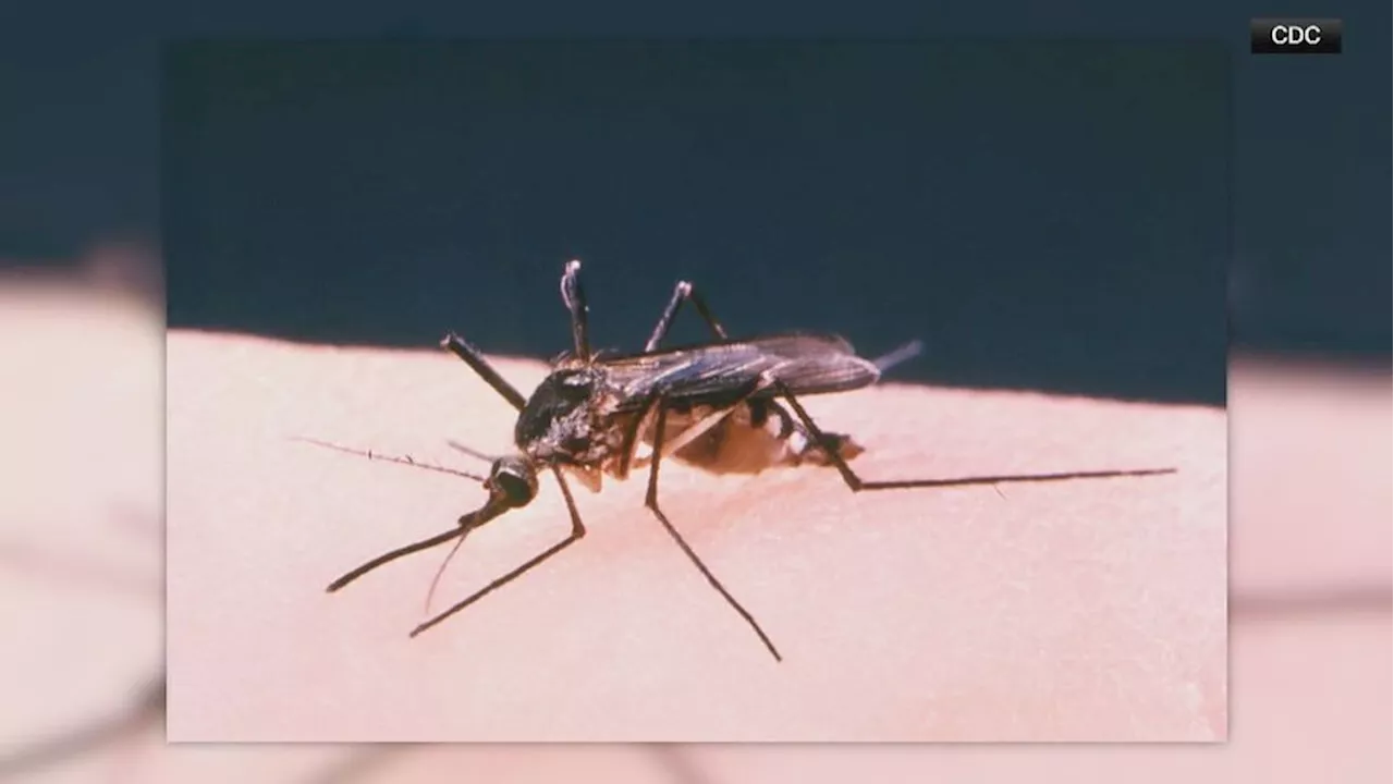 West Nile virus detected in Wayne County: What health officials want you to know