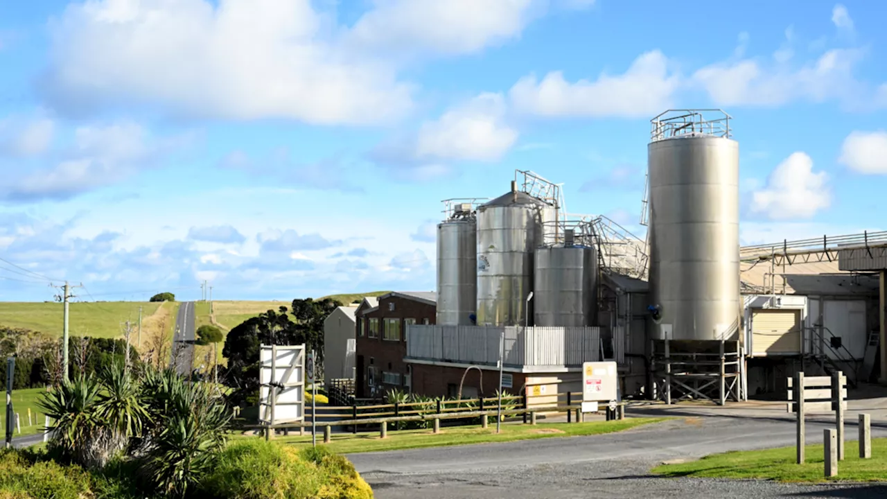 Beloved Aussie cheese manufacturer King Island Dairy to close after more than 100 years