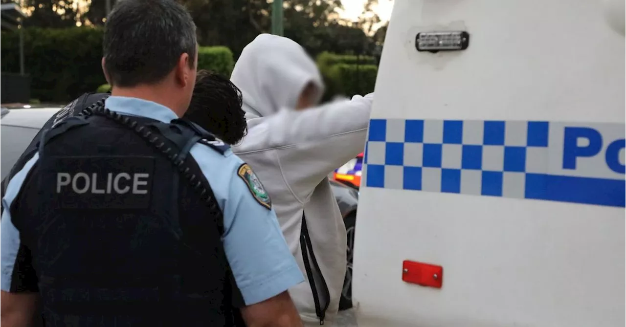 Three men charged over alleged theft of guns worth $200,000 from NSW museum