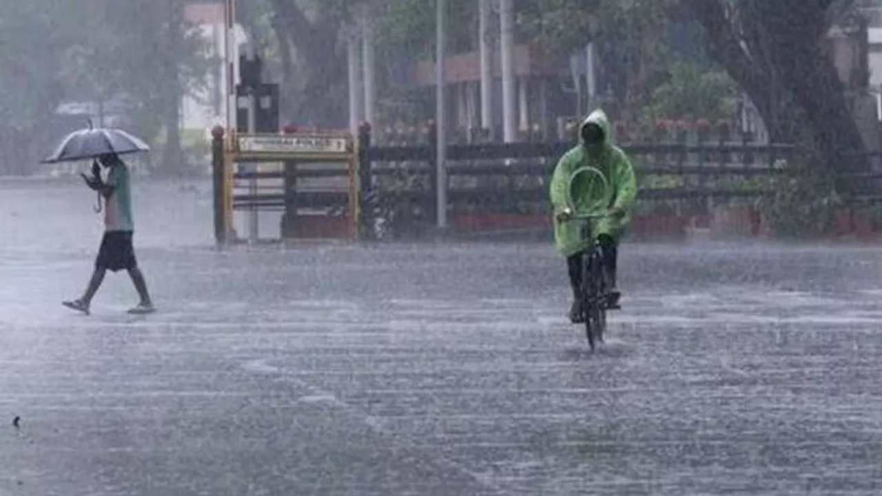 Gujarat Weather: गुजरात में बारिश से अभी नहीं मिलेगी राहत, IMD ने इन जिलों में जारी किया येलो अलर्ट