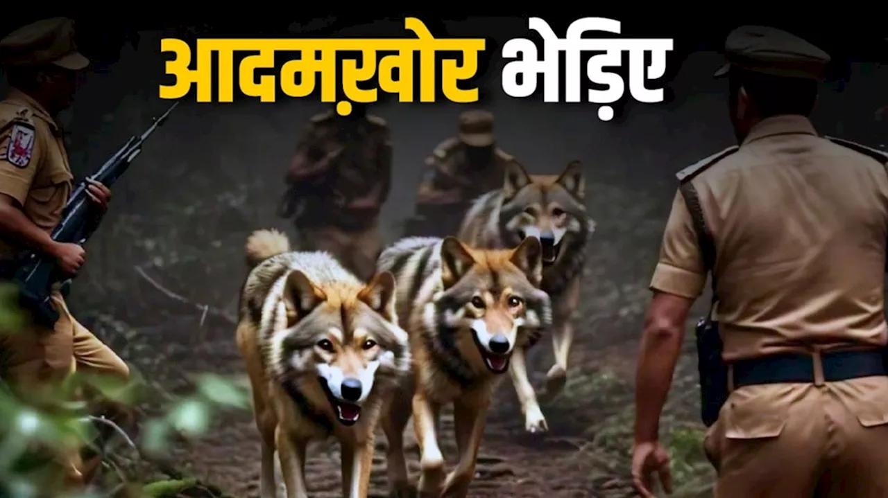 Man-Eater Wolves Terror: भेड़ियों के मुंह ऐसे लगा इंसानी खून, अब आदमखोर के खात्मे के लिए सरकार ने बनाया ये प्लान