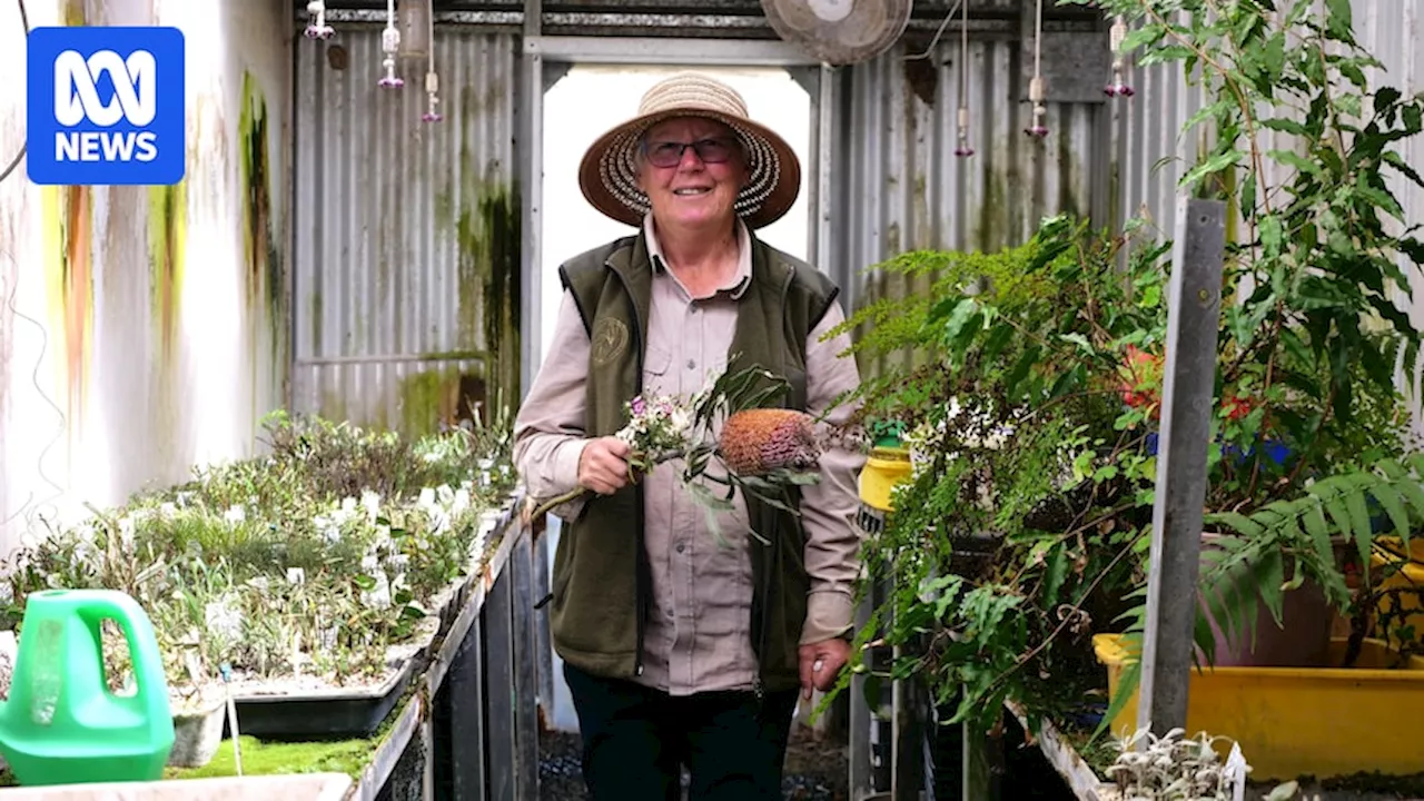 Flower farmers in western NSW pick blooms through winter for first time