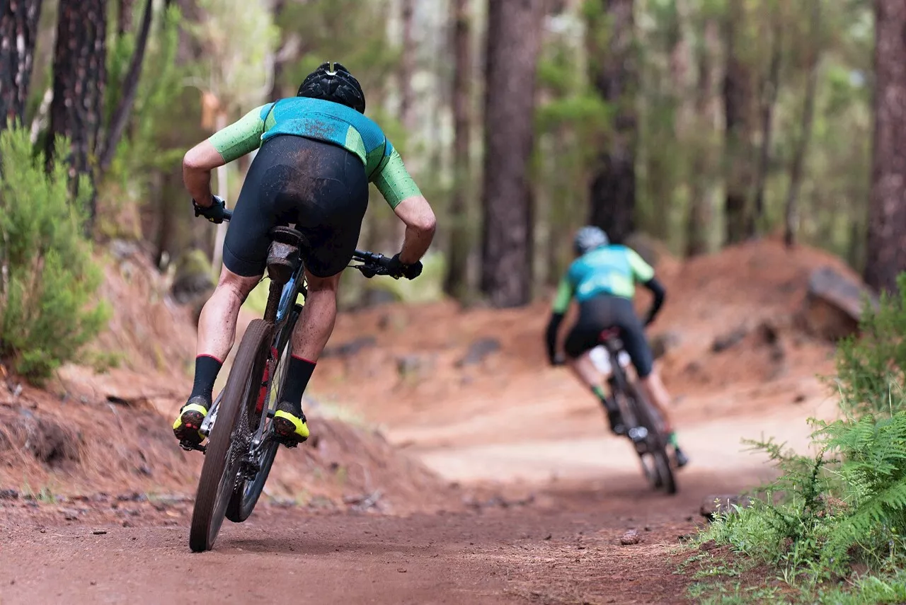 Ain : dernier jour pour gagner un dossard pour la rando VTT la Forestière