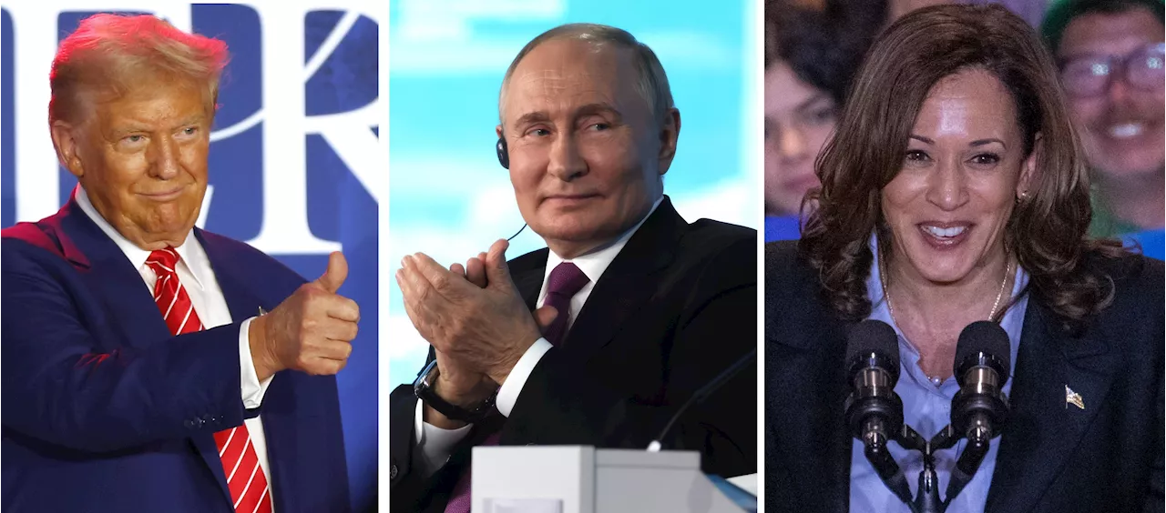 Putin l'americano: 'Voto per Harris'. Lo zar e l'assist a Trump