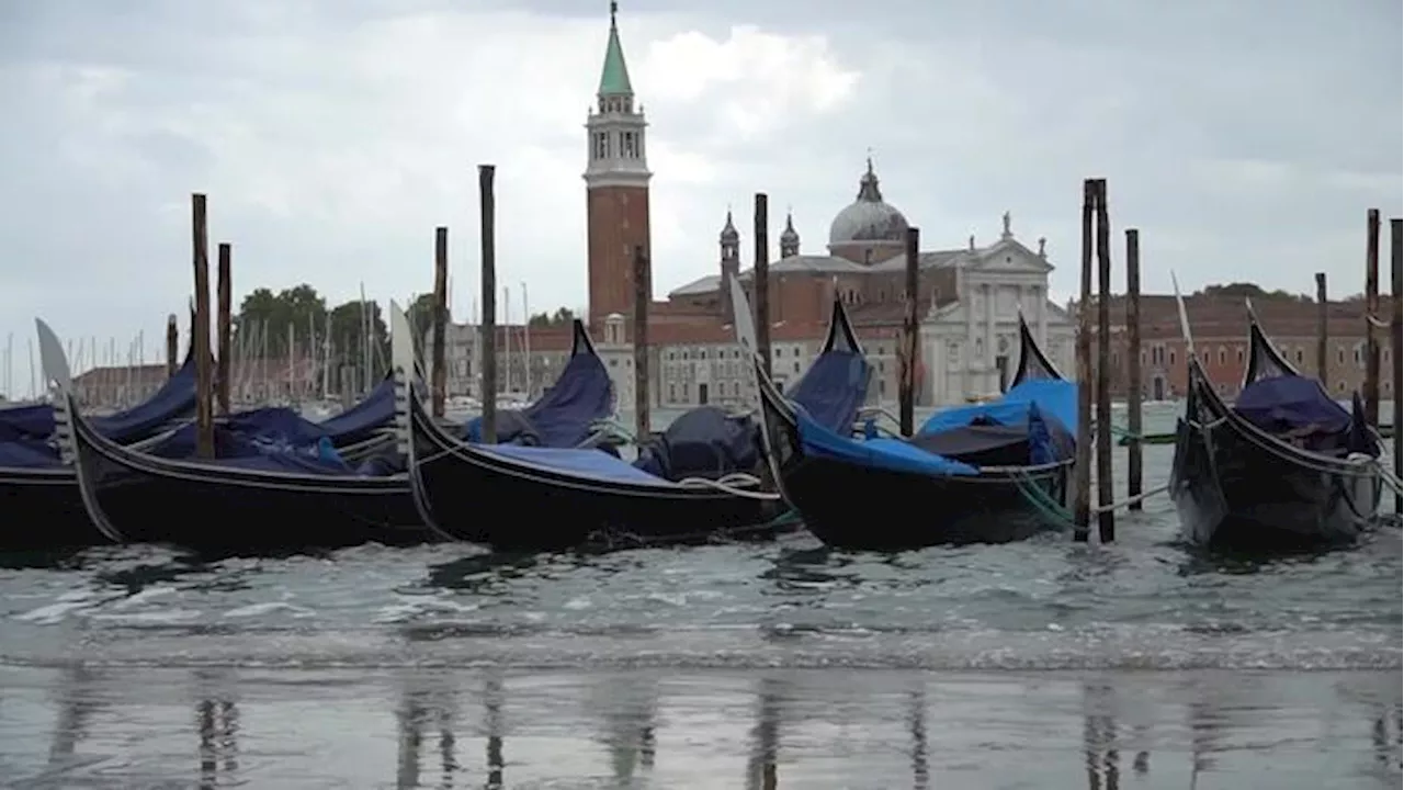 Maltempo, a Venezia allagata Piazza San Marco