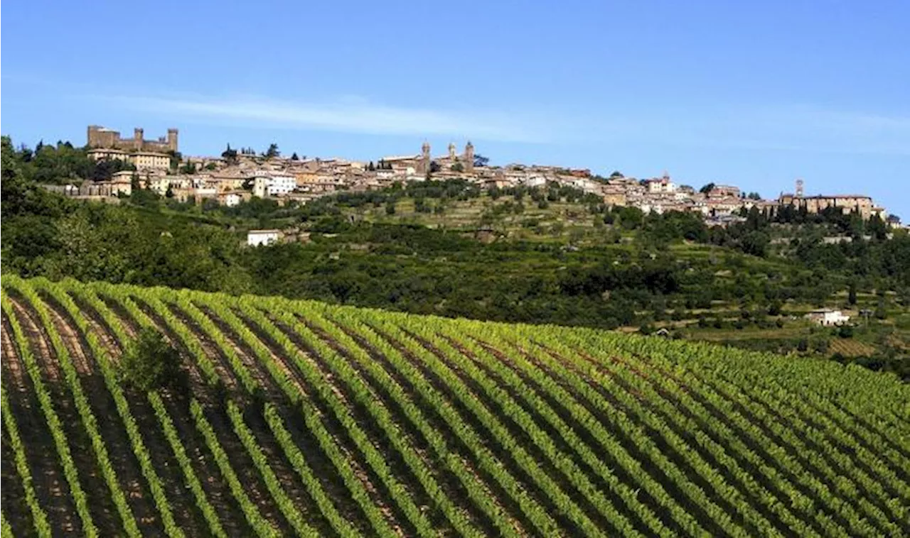 Per il Rosso di Montalcino 352 nuovi ettari rivendicabili