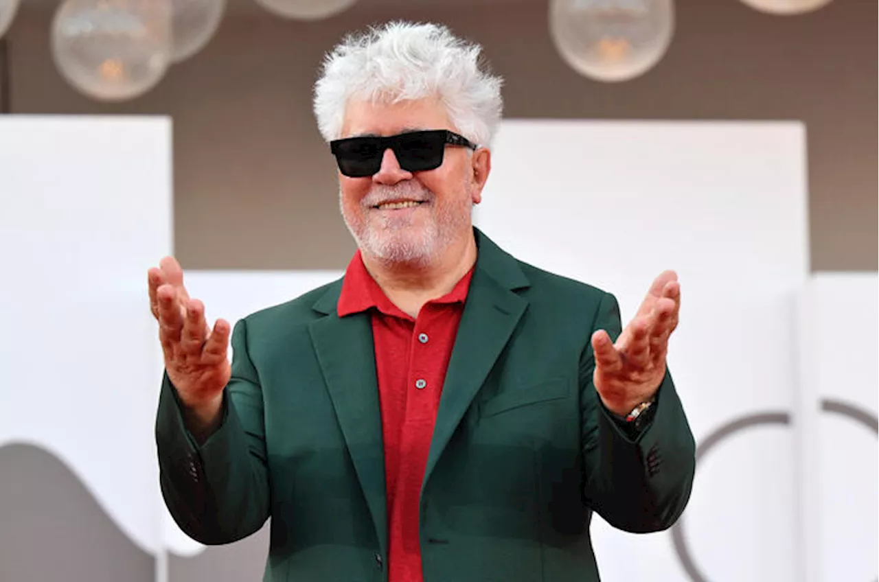 Totoleone, da Almodovar a Queer fino a The Brutalist