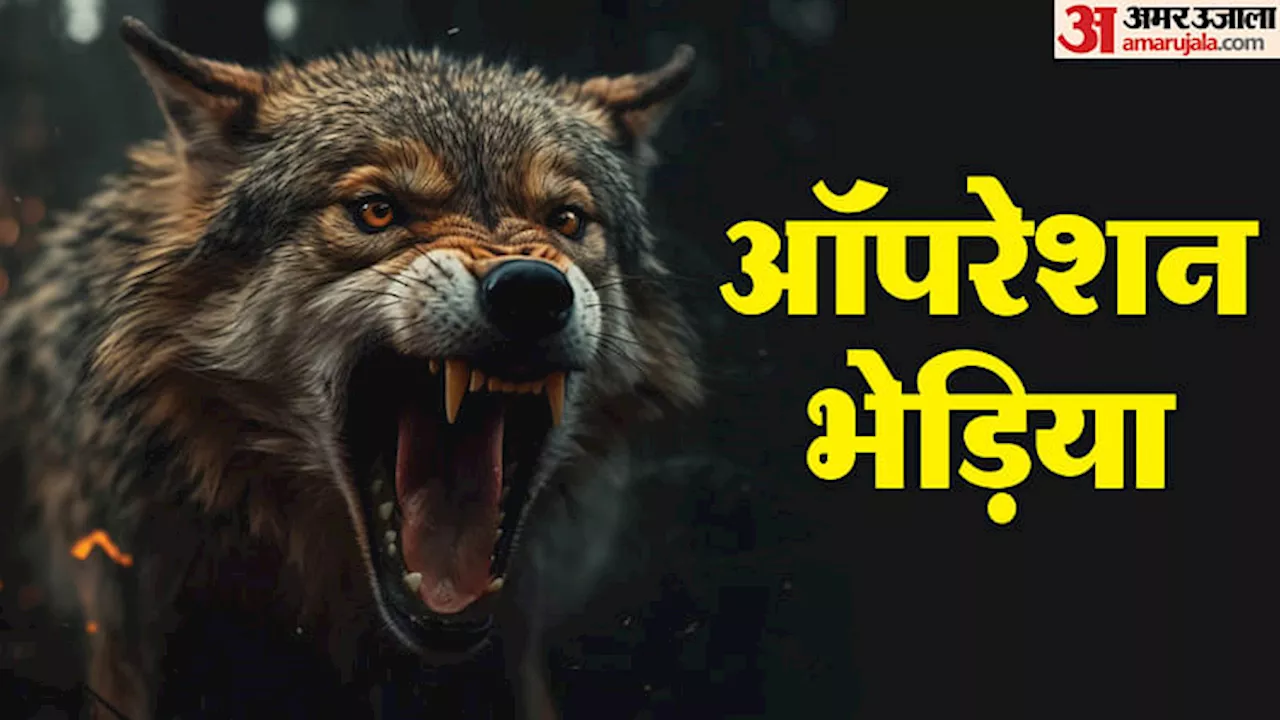 Wolf Attacks: आदमखोर भेड़ियों को पकड़ने के लिए बनाया ये प्लान... वनकर्मियों के हाथों में लाठी-डंडा और जाल