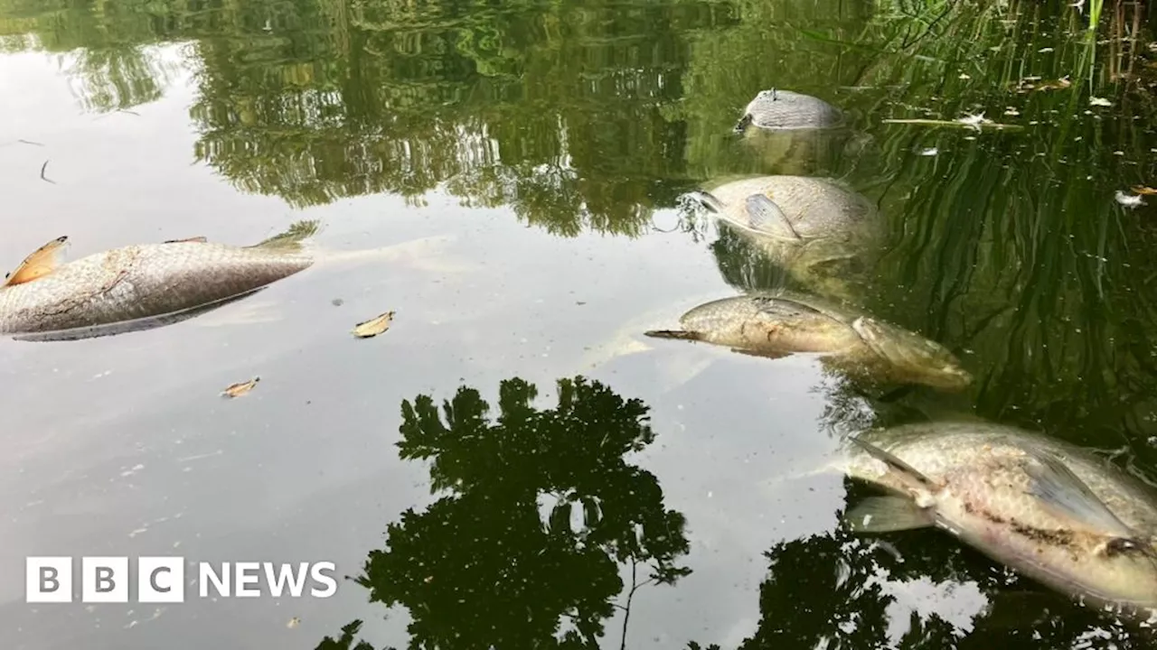 Angler believes polluted lake could take years to recover