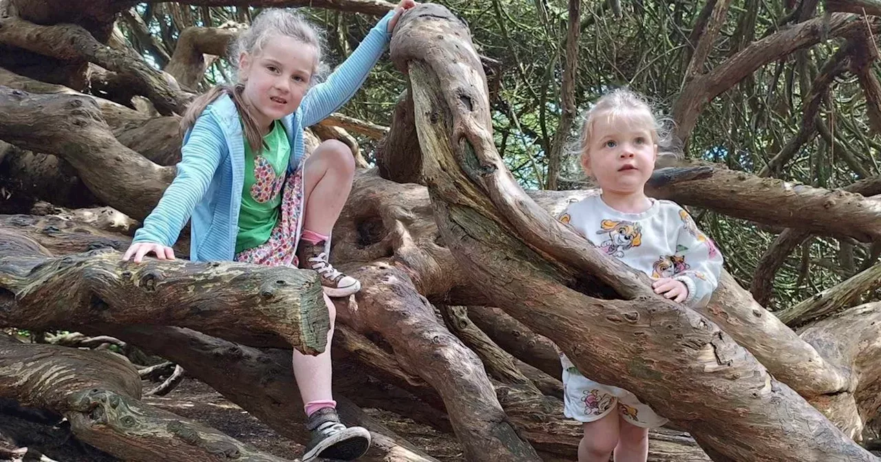 Family and kids attractions in Northern Ireland rated 'the best'