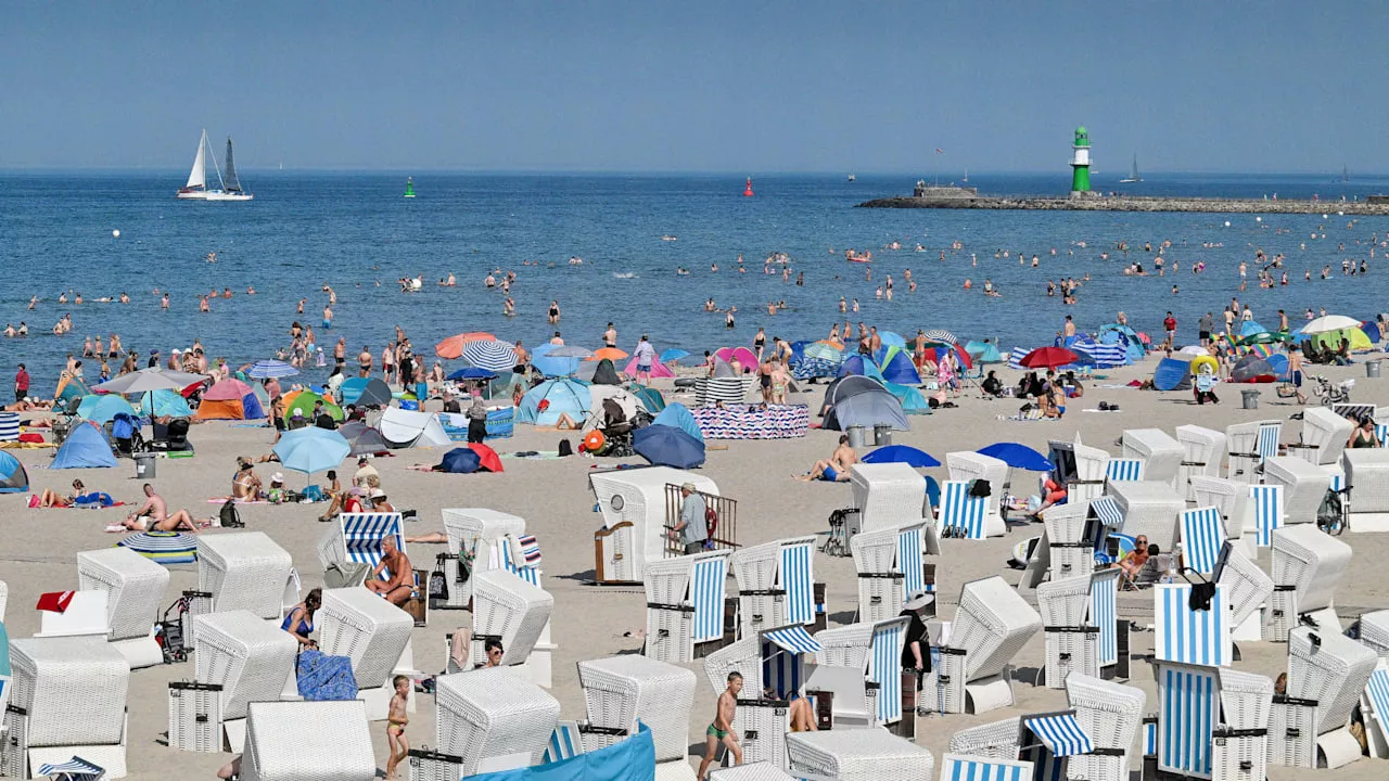 Feuerquallen an der Ostsee: Badegäste aufgepasst! Die Plage breitet sich aus