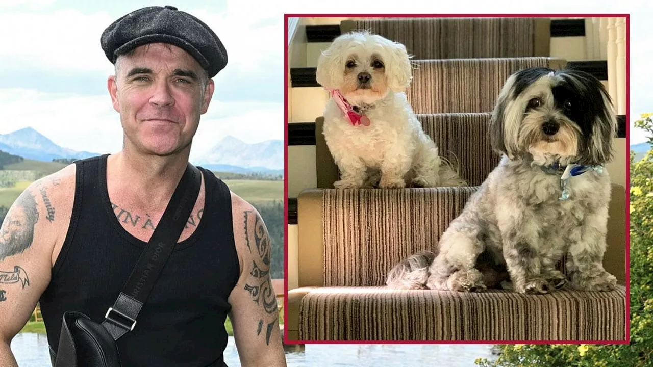 Robbie Williams trauert um seine Hunde: Rührender Abschied bei Insta