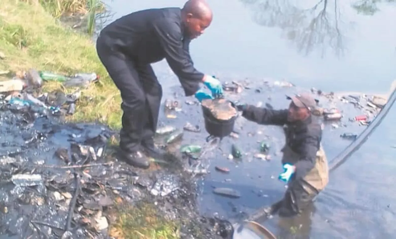 Watch: Alarm raised as toxic spill kills fish, birds in Msunduzi River