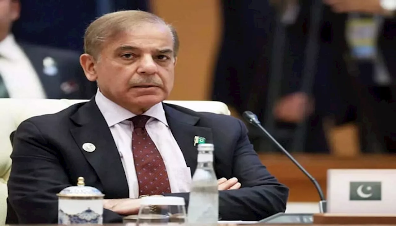 Armed forces uphold legacy of courage & preparedness: PM Shehbaz