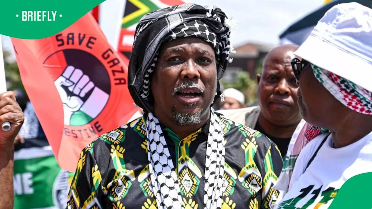 ANC KZN Provincial Secretary Bheki Mtolo Apologised to NEHAWU