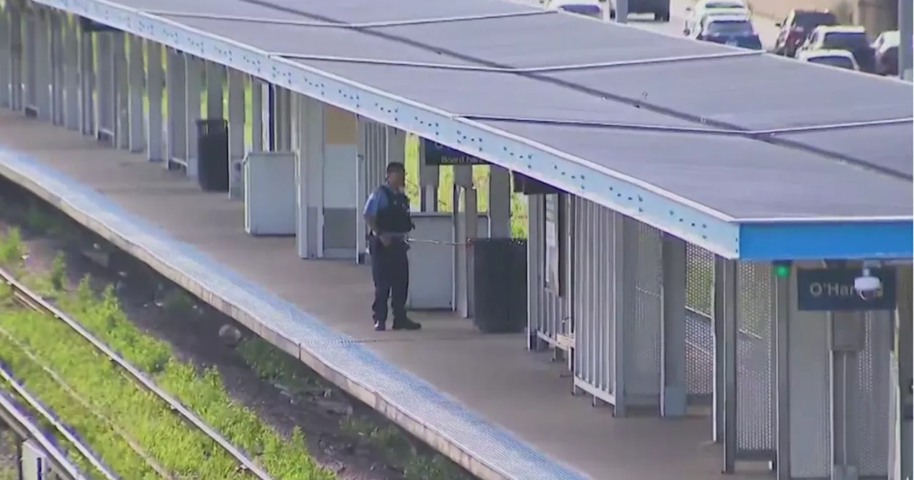 Pair charged in robbery, hammer attack on CTA Blue Line platform