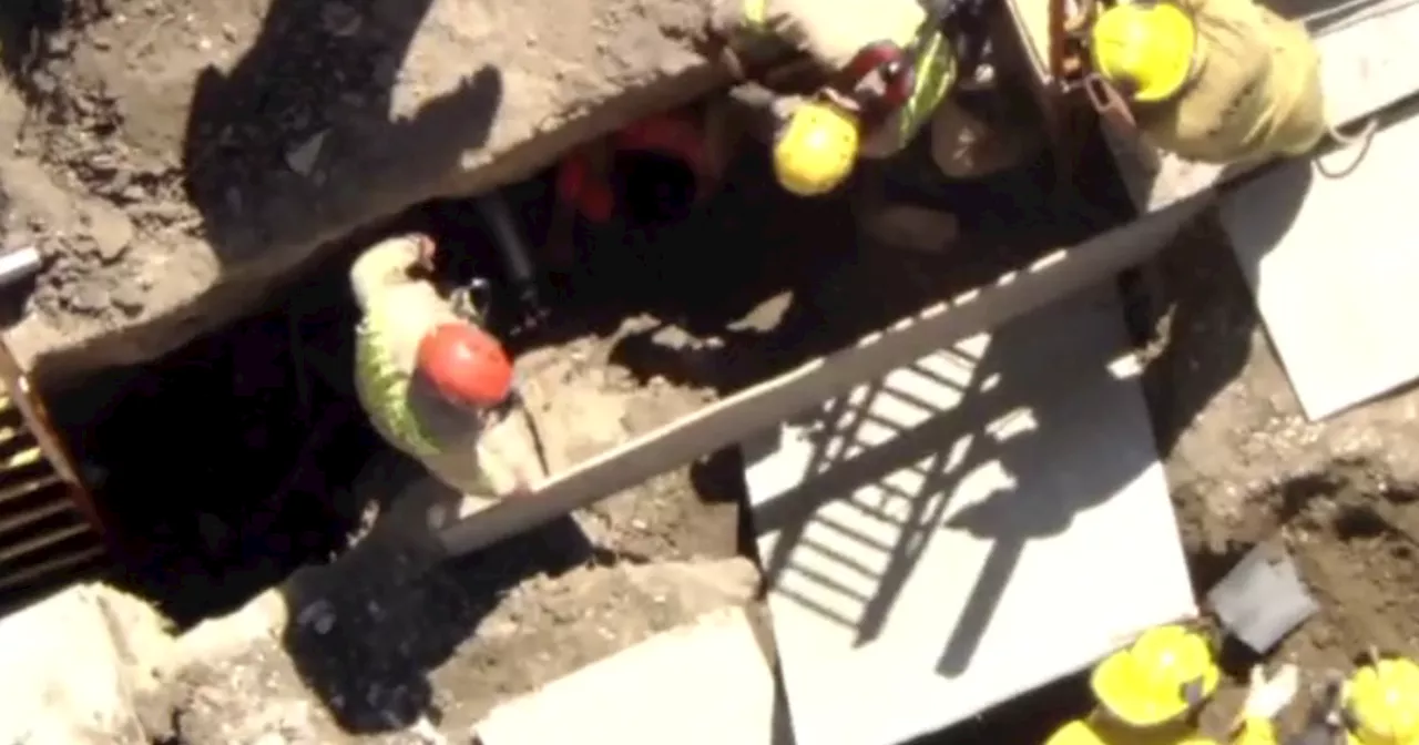 In 99-degree heat, firefighters trying to rescue worker trapped in trench in Los Feliz