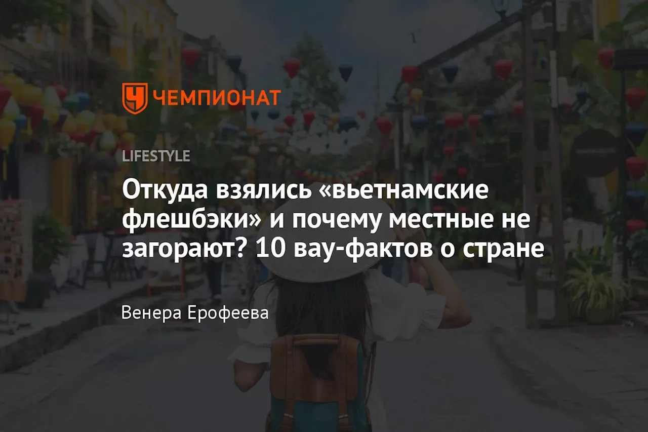 Откуда взялись «вьетнамские флешбэки» и почему местные не загорают? 10 вау-фактов о стране