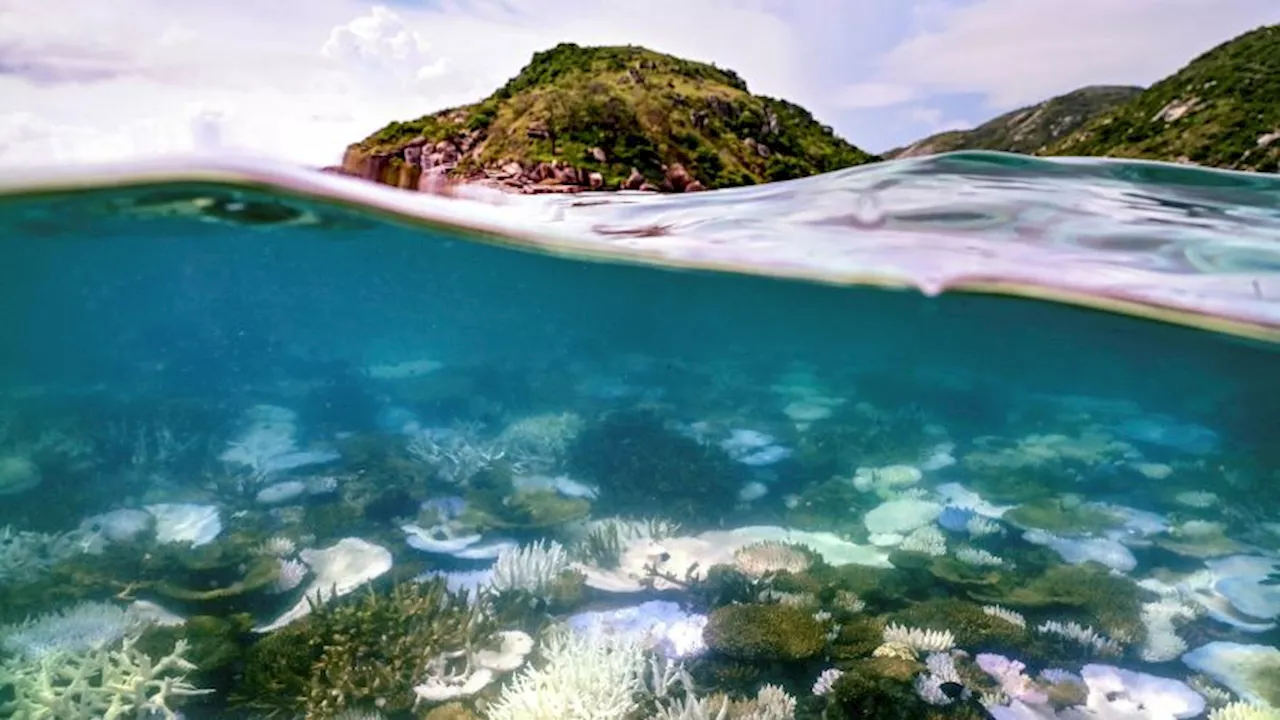 Australia’s Great Barrier Reef tries to make sustainability cool